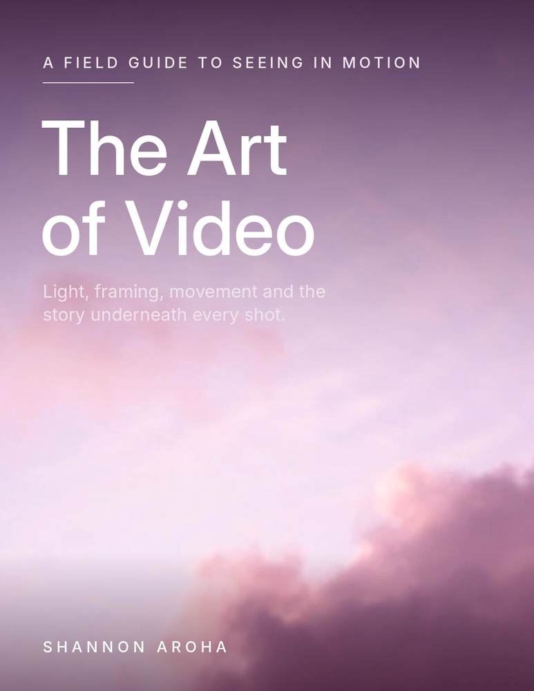 The Art of Video book cover
