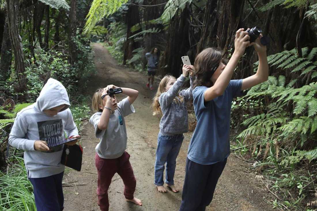 Kids filming and photographing in a native forest during a camera and story workshop